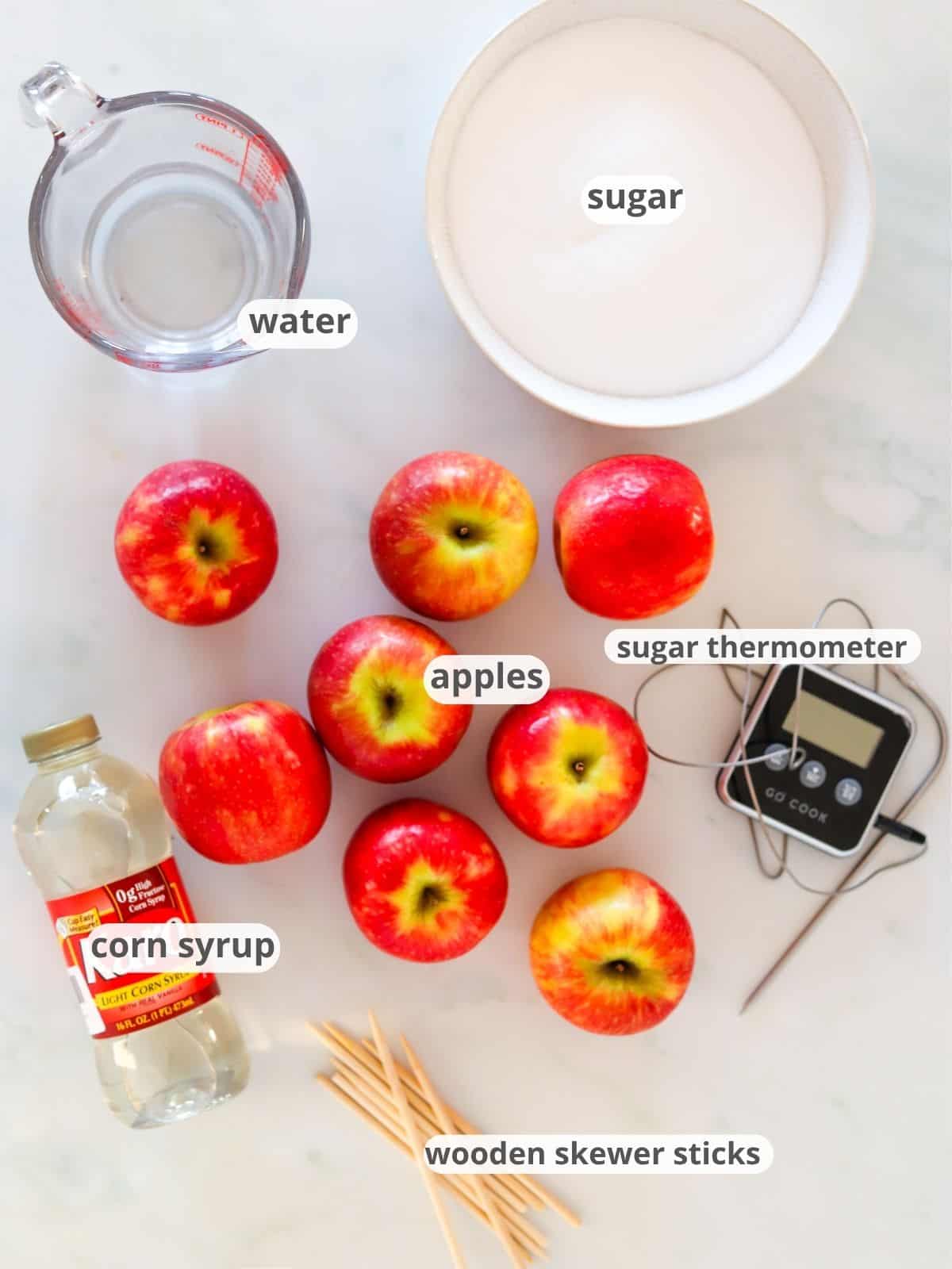Ingredients and tools to make candy apples.